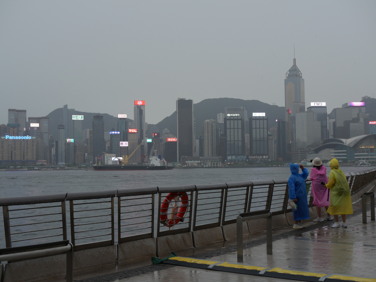 雨中维港 雨中维港